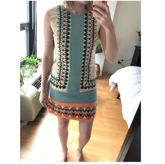 Dresses & Skirts - Champagne and Strawberries • Embroidered Dress